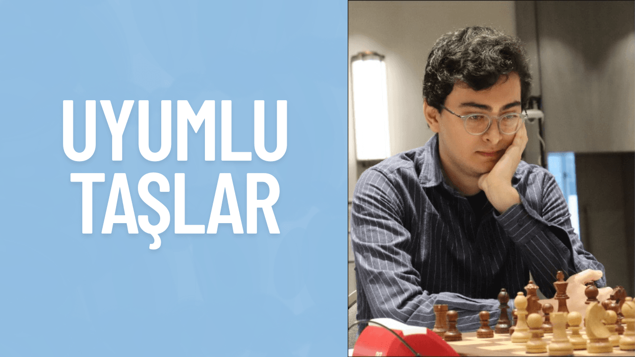Uyumlu Taşlar Resim - Thumbnail